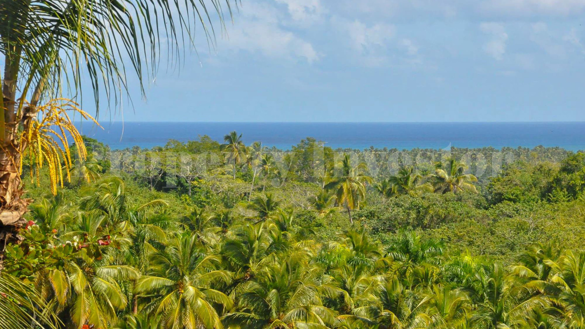 Эко ретрит на 5 спален с ручной отделкой с невероятными видами на океан и тропические сады рядом с Лас-Терренас, Доминиканская Республика