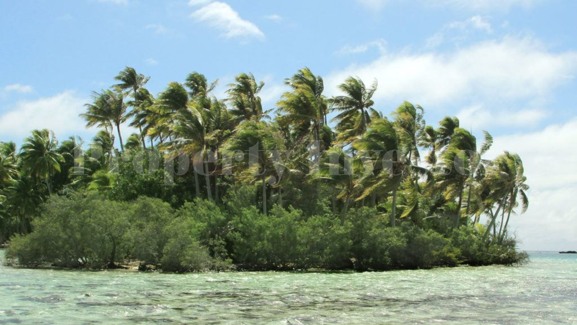 Magnificent 7.12 Hectare Private Virgin Island for Sale in French Polynesia