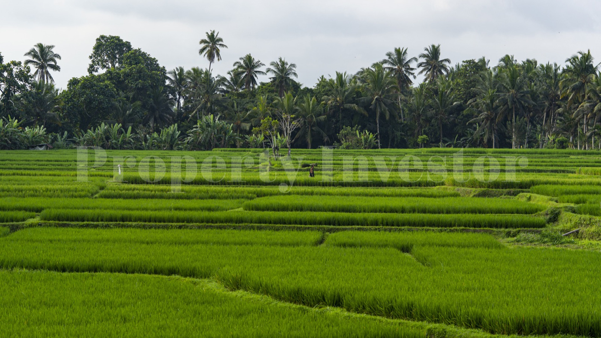 Продаётся отмеченный наградами бутик отель на 8 номеров и ресторан изысканной кухни в Убуде, Бали