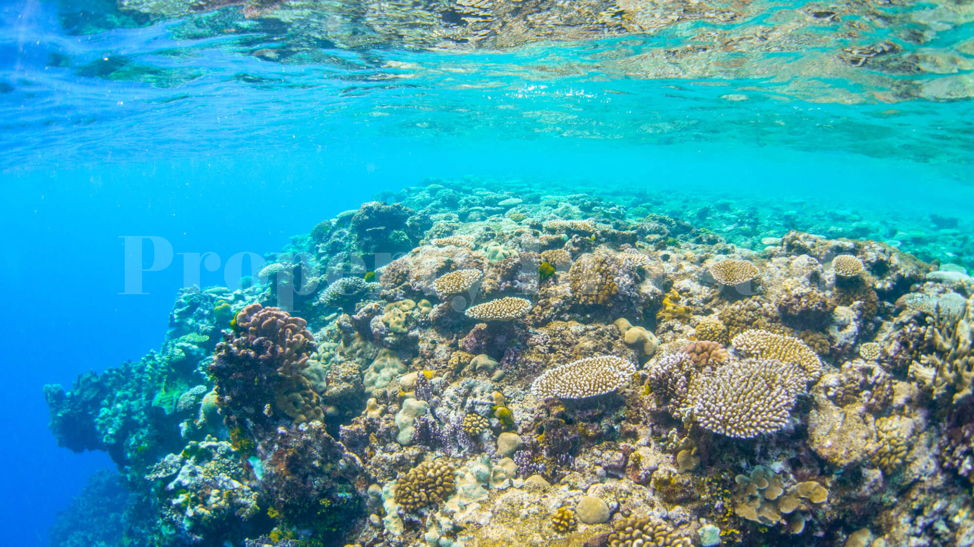 Majestic 108 Hectare Private Island for Sale in Vanuatu