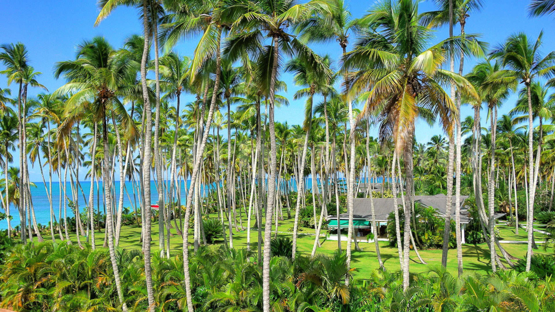 Самая восхитительная и роскошная вилла с 4 спальнями в Лас Терренас