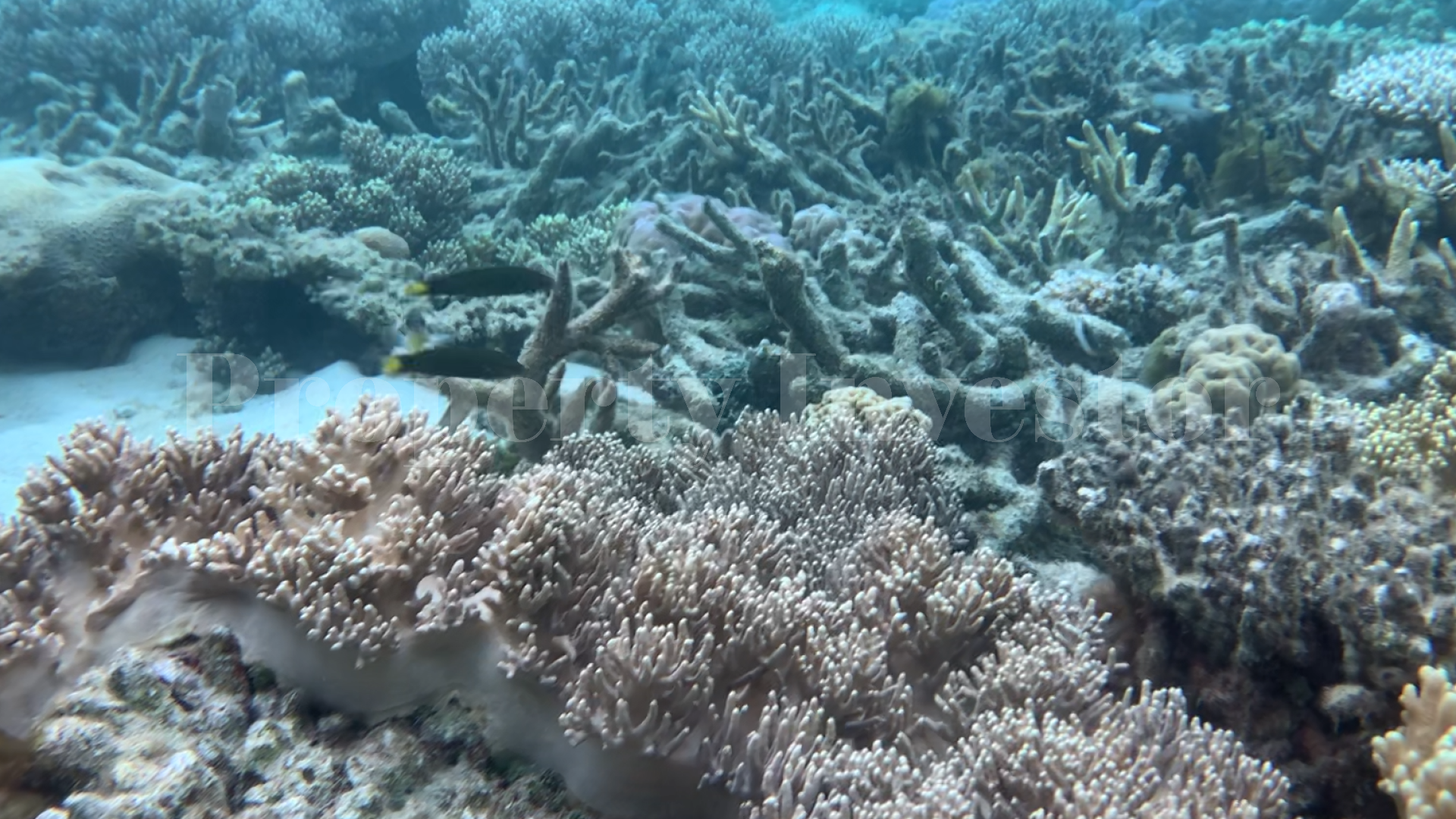 Pristine 27 Hectare Virgin Island for Commercial Development in the Riau Islands, Indonesia