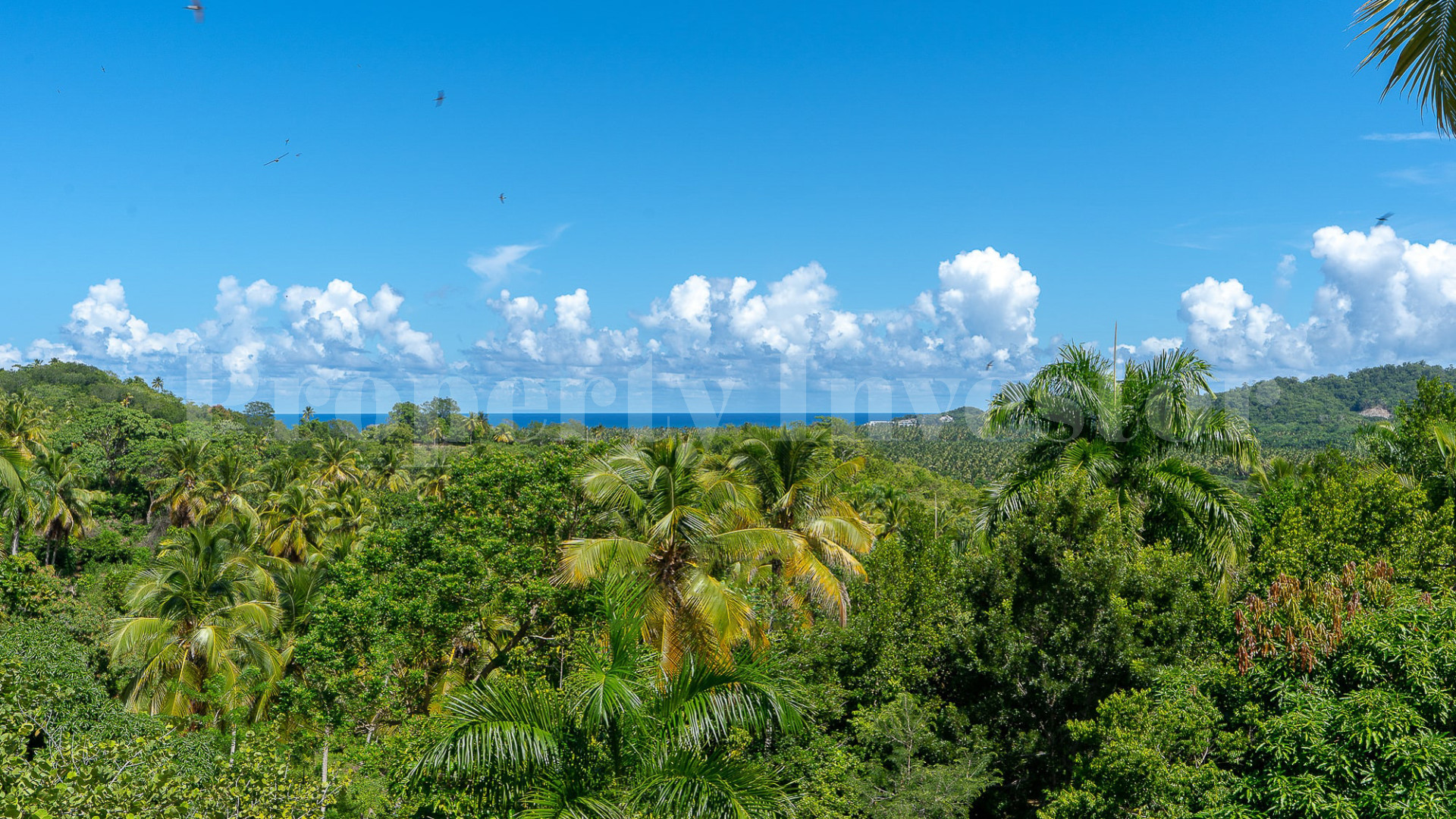 Эко ретрит на 5 спален с ручной отделкой с невероятными видами на океан и тропические сады рядом с Лас-Терренас, Доминиканская Республика