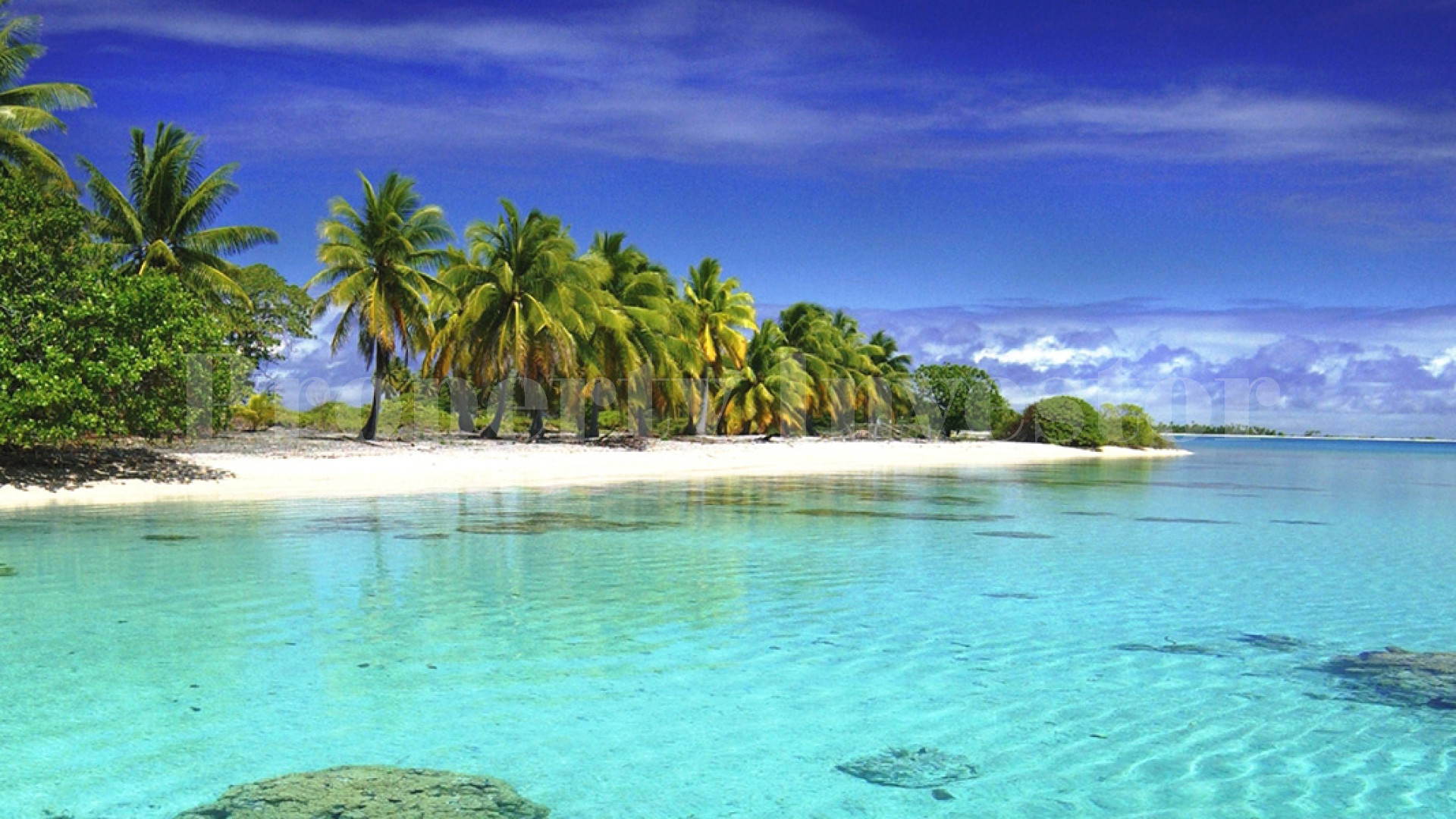 Private Virgin Island for Sale in French Polynesia