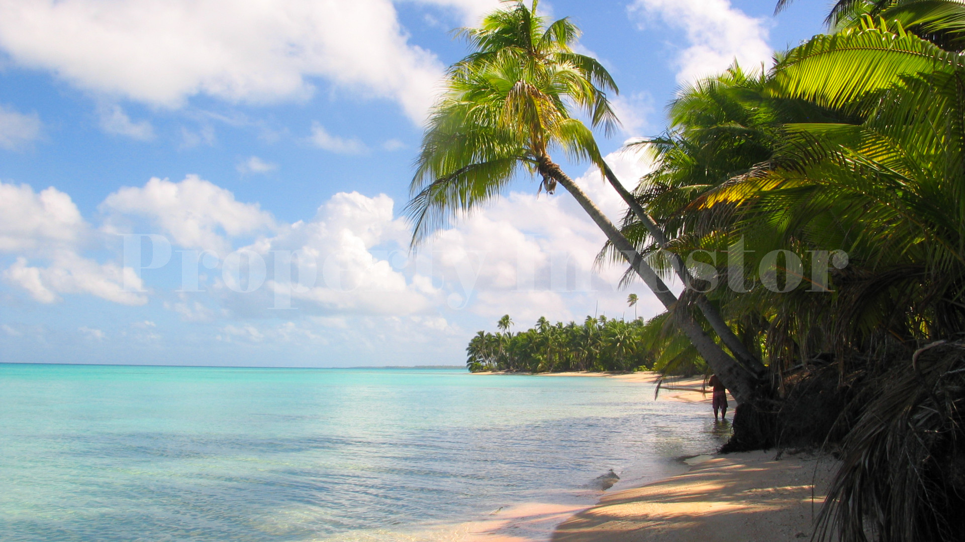 Pristine 3.8 Hectare Private Island Residence in French Polynesia