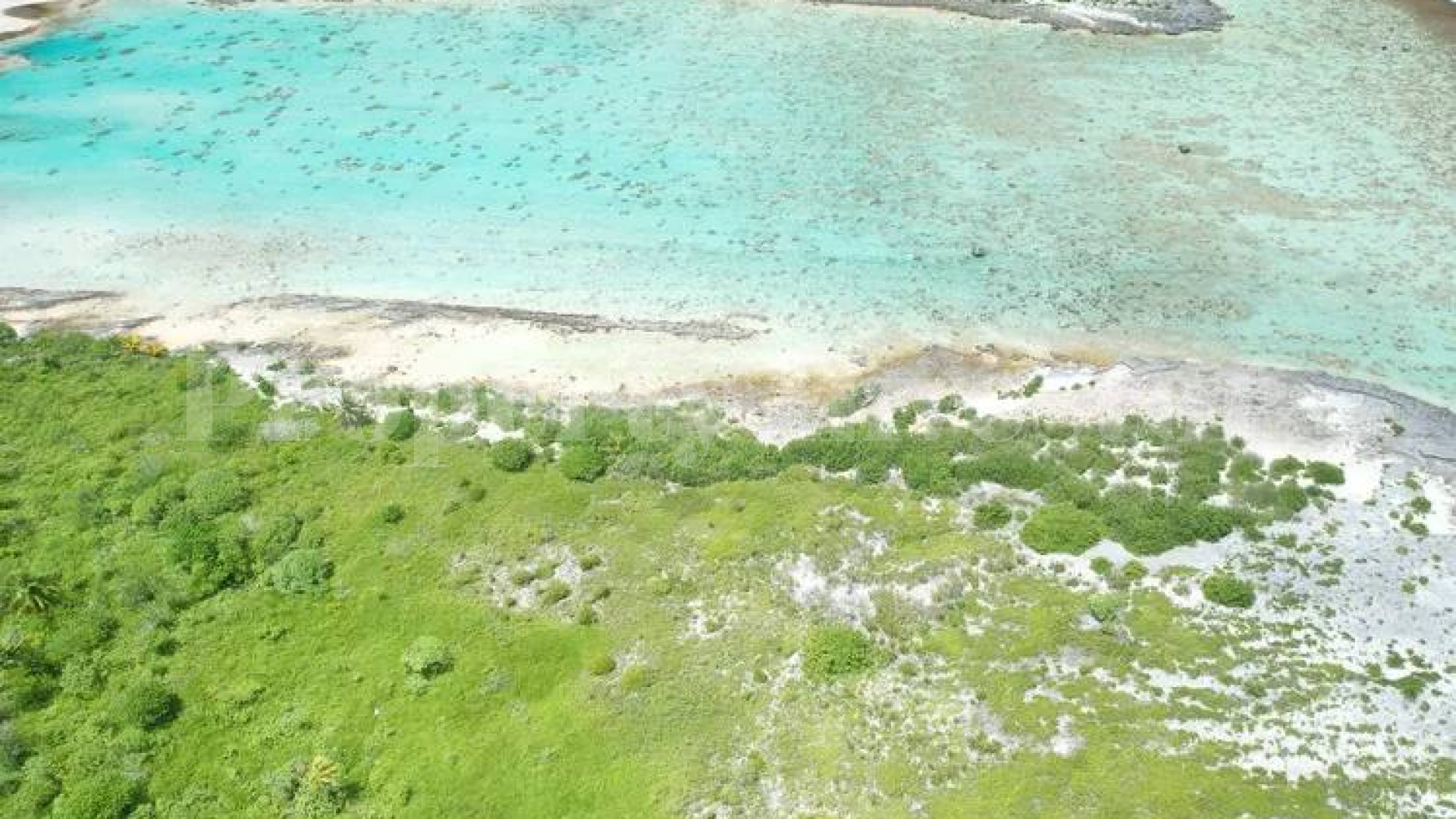 Approximately 11 Hectares of Pristine Private Virgin Island for Sale in Arutua, French Polynesia