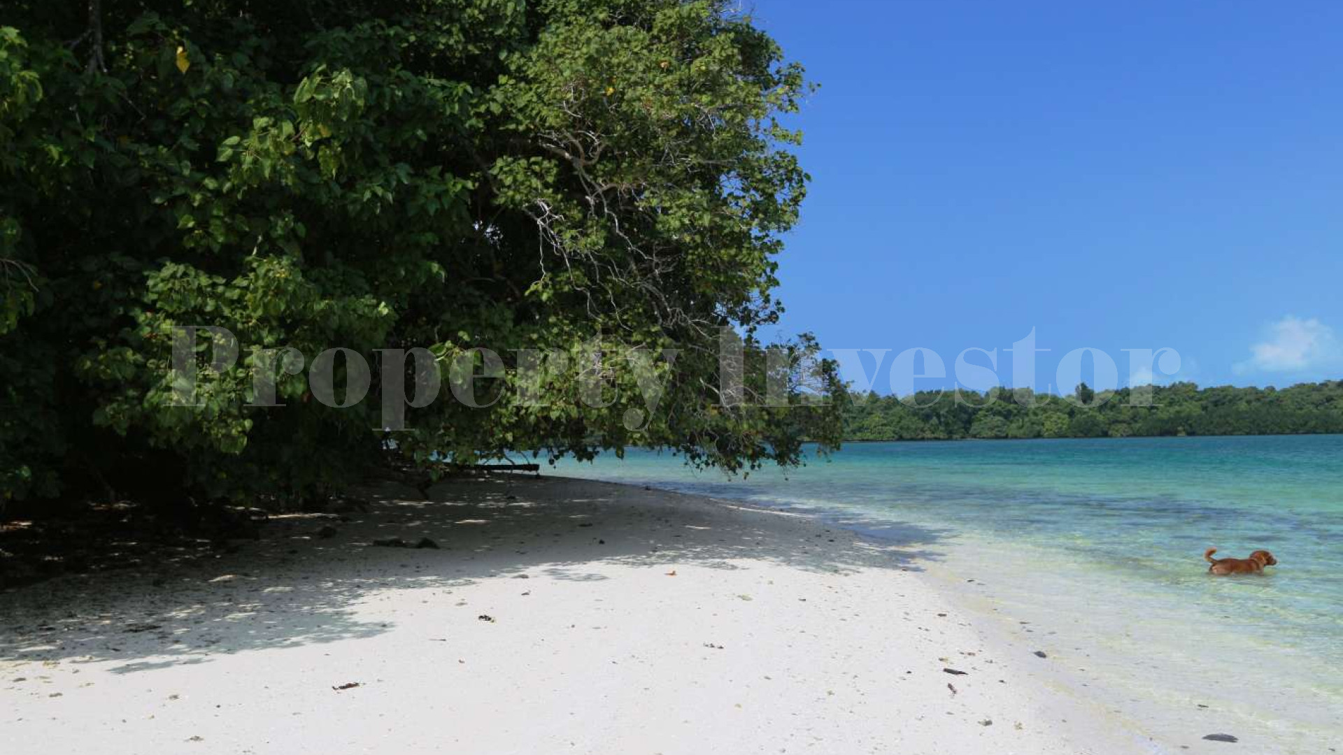 Wonderfully Lush 10.6 Hectare Private Island with Residence for Sale in Vanuatu