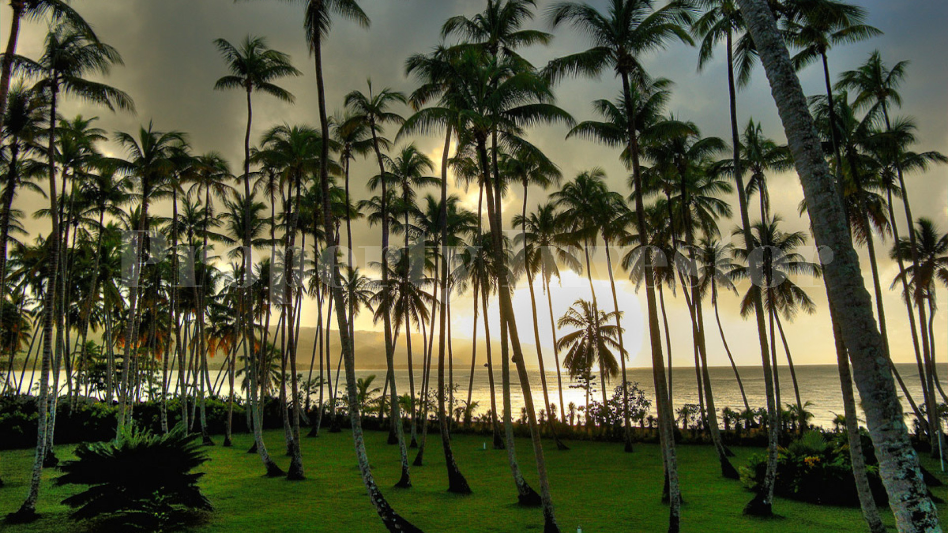 Самая восхитительная и роскошная вилла с 4 спальнями в Лас Терренас