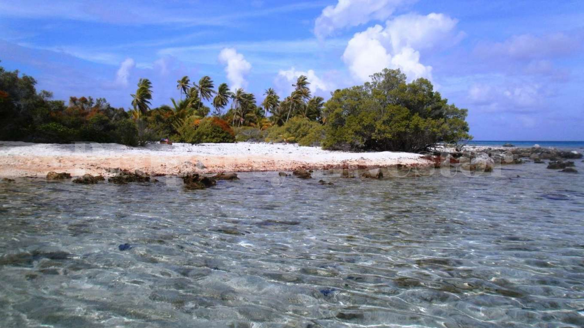 Stunning 1.4 Hectare Virgin Island for Sale in French Polynesia