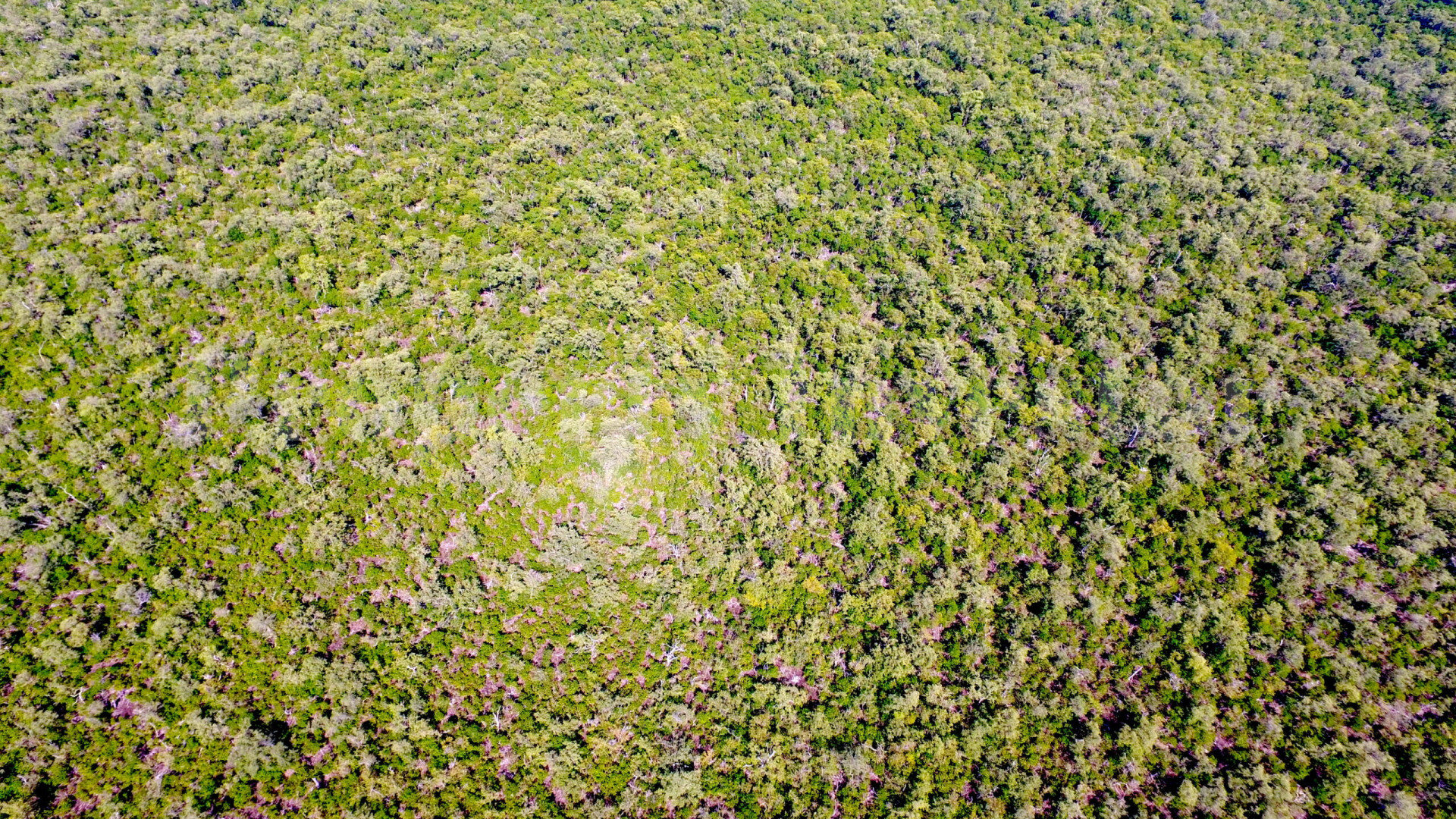 Long Middle Caye — 30 Acre Oceanfront Virgin Island Parcel for Sale Near Belize City