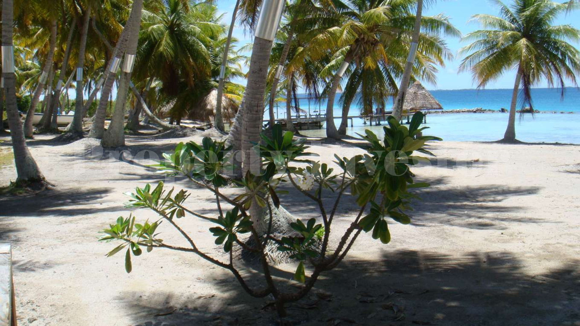 3.36 Hectare Private Boutique Island Retreat with 5 Bungalows in French Polynesia