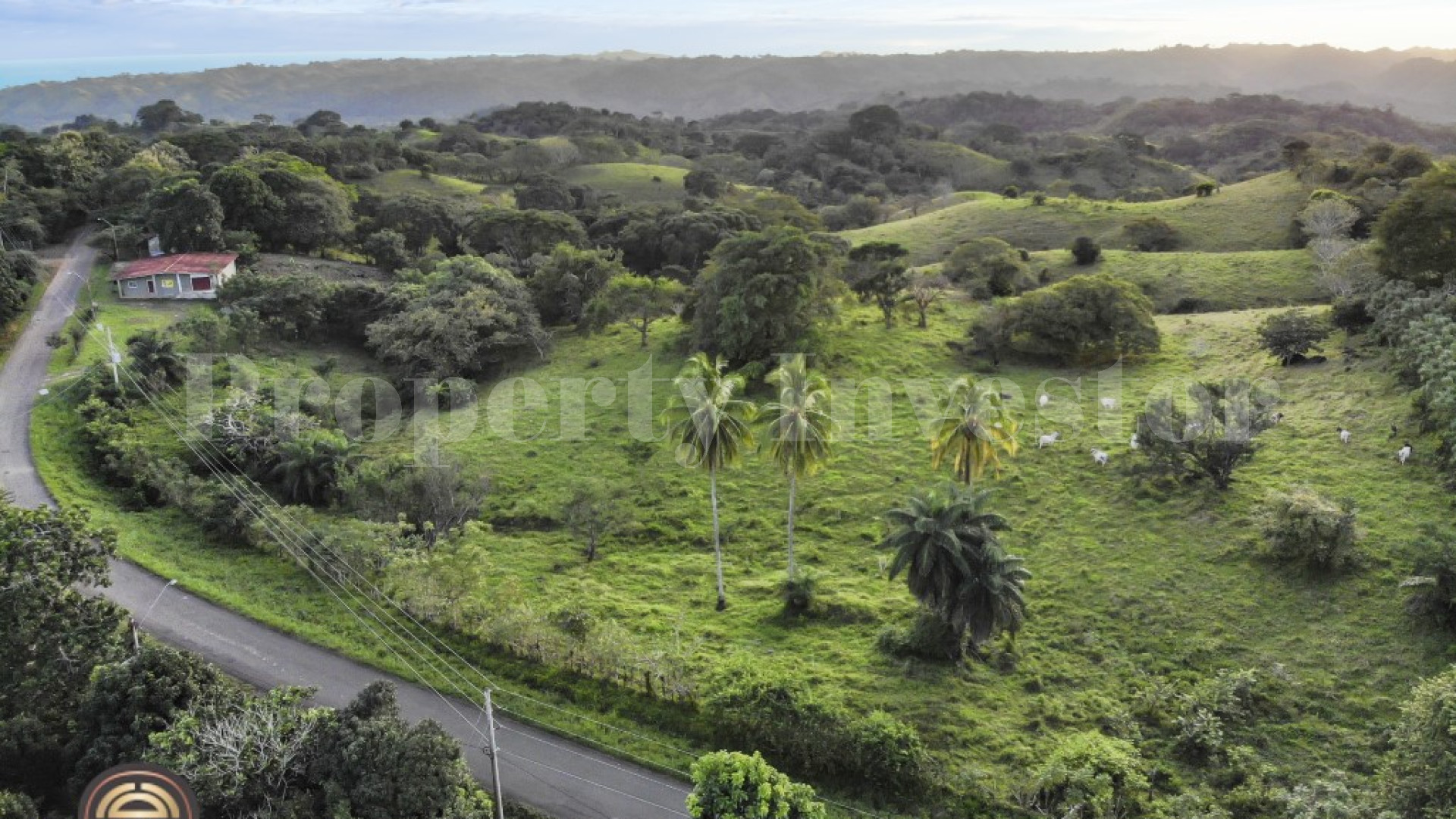 5 Hectares With Ocean View