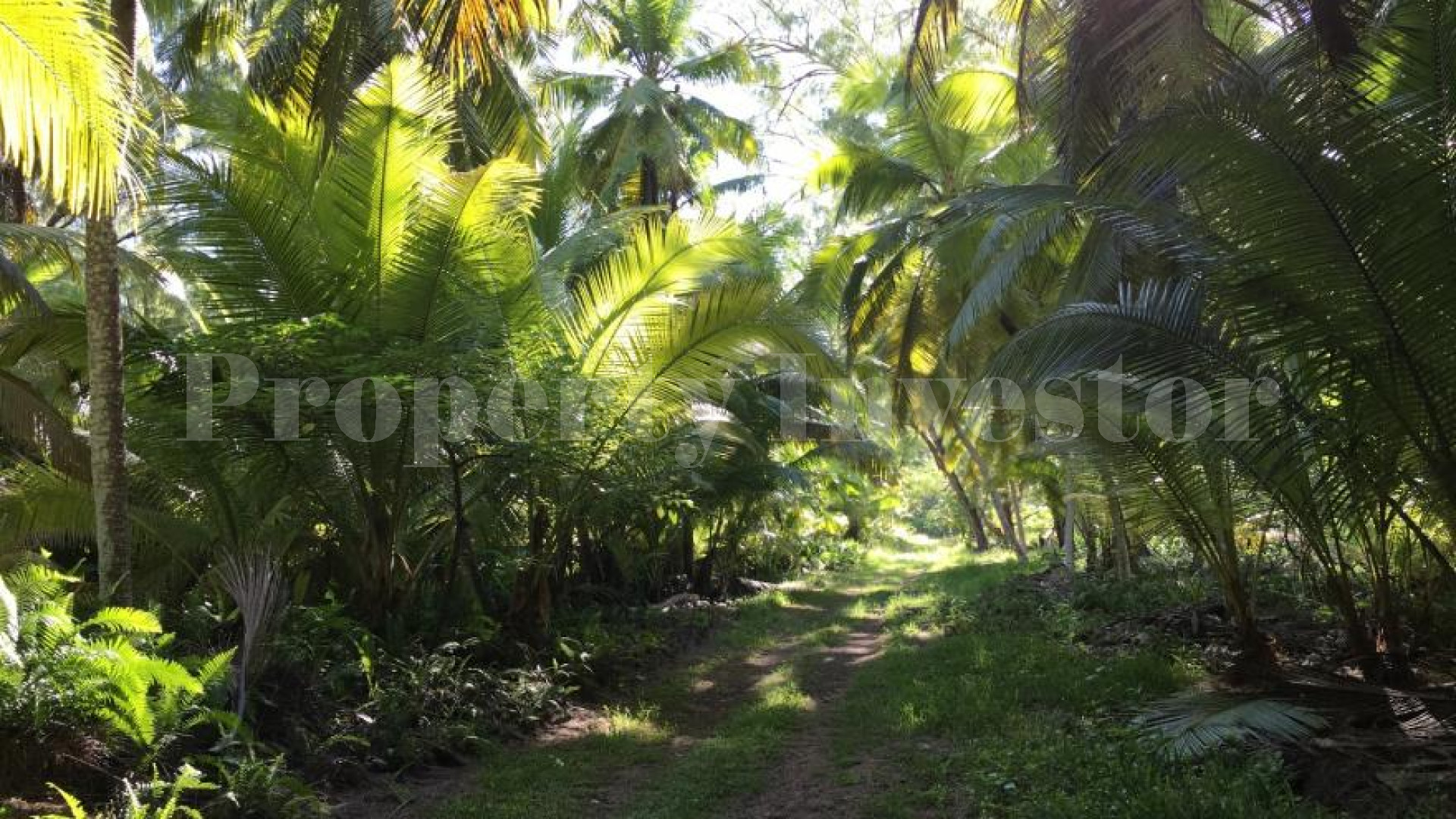 Private 4 Bedroom Luxury Beachfront Villa for Sale on Desroches Island, Seychelles