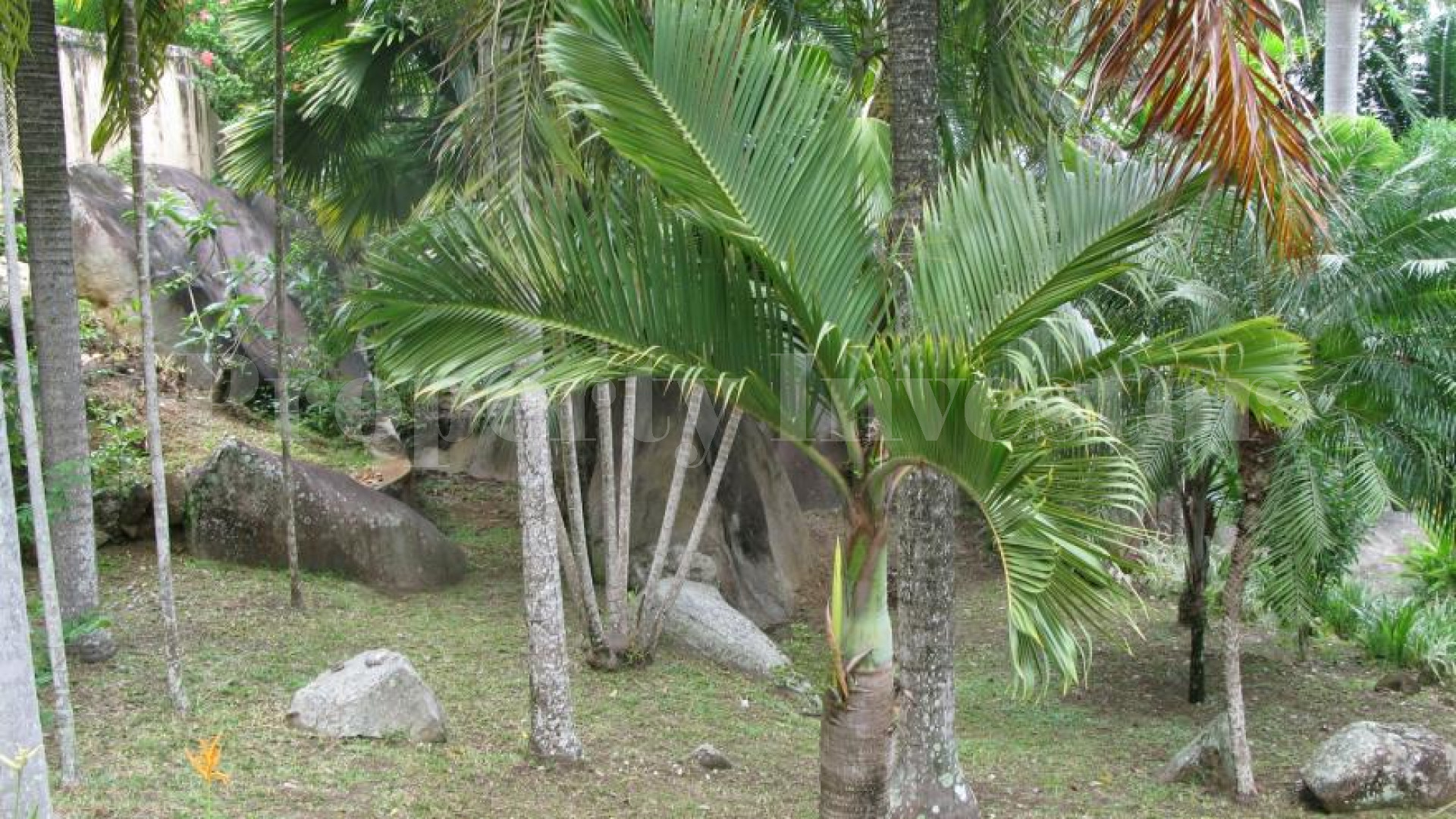 Spectacular 4 Bedroom Sea View Character Home for Sale in Seychelles