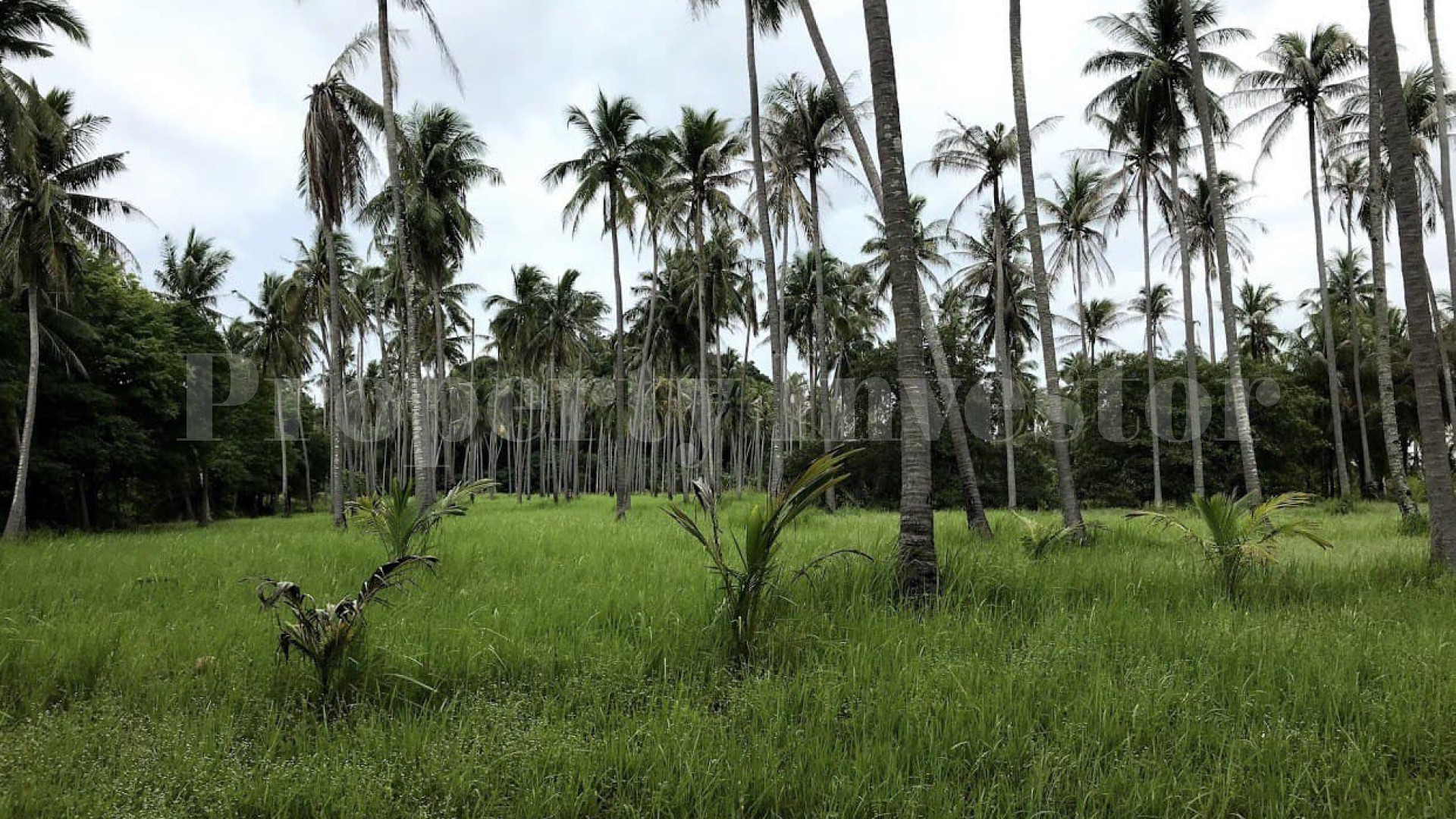 Private 44.5 Hectare Private Virgin Island Paradise for Development in Thailand