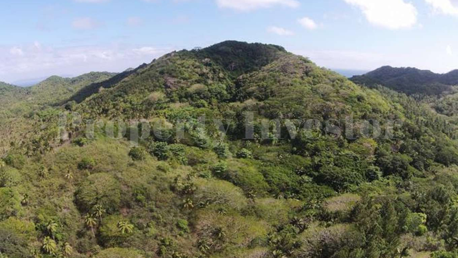 Massive 1248 Hectare Private Island & Functioning Coconut Plantation for Sale in Fiji