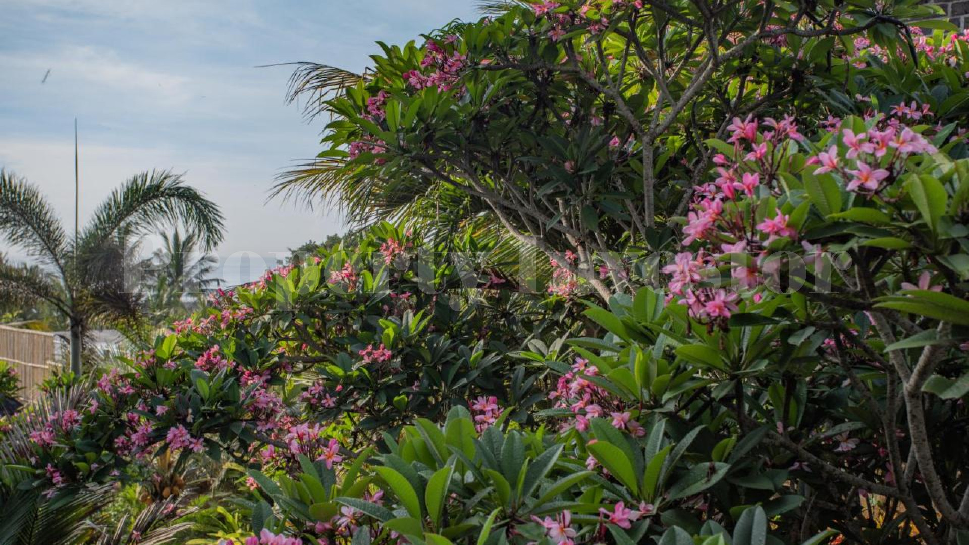 Modern 3 Bedroom Ocean View Surf Villa for Sale in Balian Beach, Bali