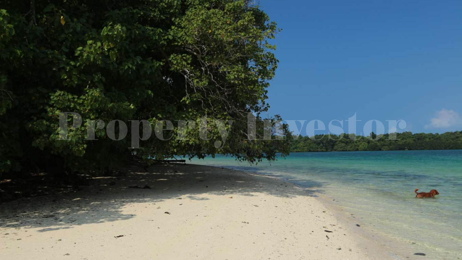 Wonderfully Lush 10.6 Hectare Private Island with Residence for Sale in Vanuatu