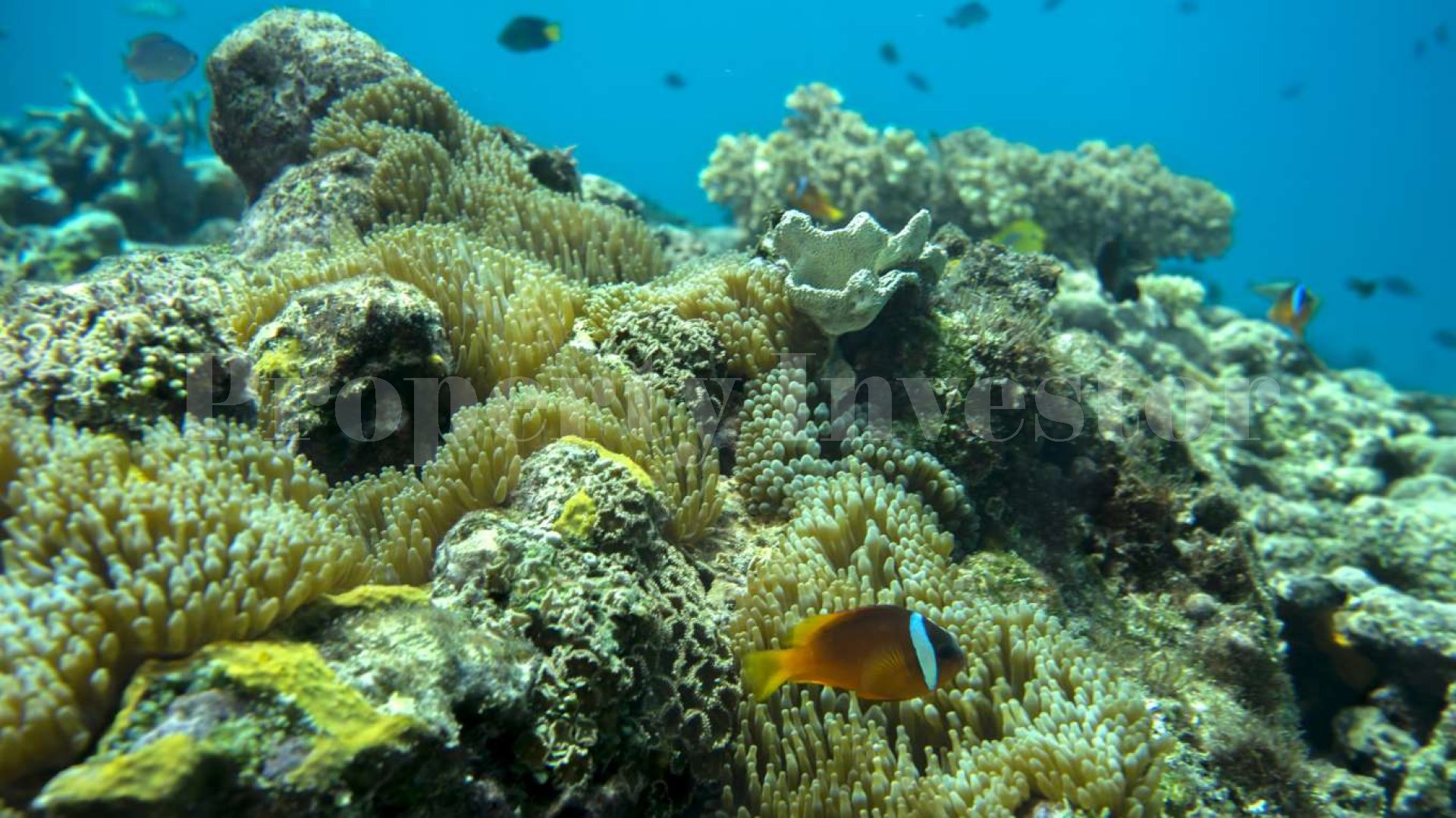 Private Island Development Opportunity in Fiji